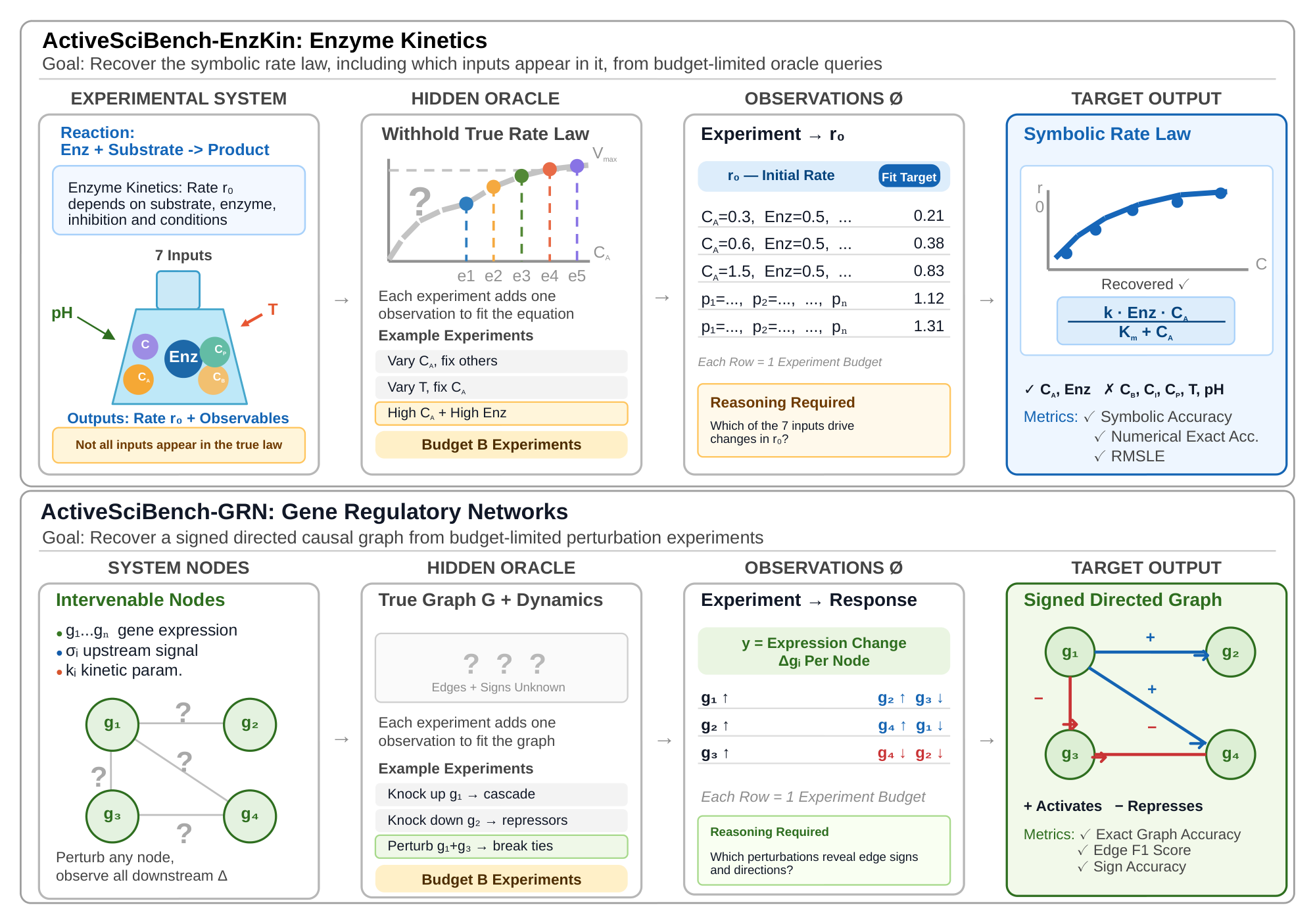 ActiveSciBench overview: enzyme-kinetics rate-law discovery and gene-regulatory-network graph discovery from budget-limited oracle queries